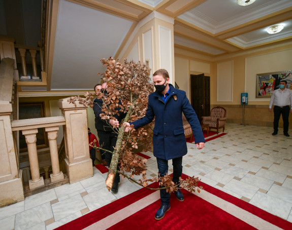 Unesen badnjak u zgradu Gradske uprave Banjaluka