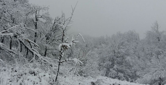U ponedjeljak susnježica i snijeg
