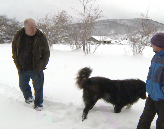 Kolaps zbog snijega, 200 domaćinstava bez struje