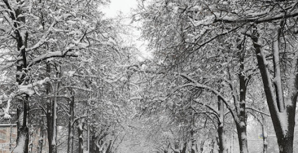 Žuto upozorenje zbog snijega i niske temperature