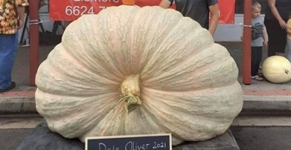 Australijanac uzgojio bundevu od 867 kilograma!
