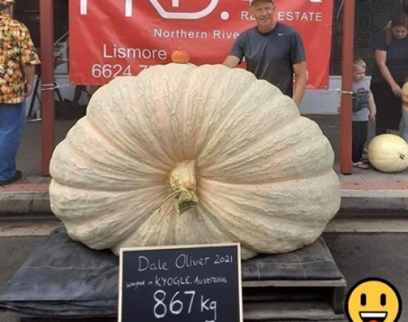 Australijanac uzgojio bundevu od 867 kilograma!