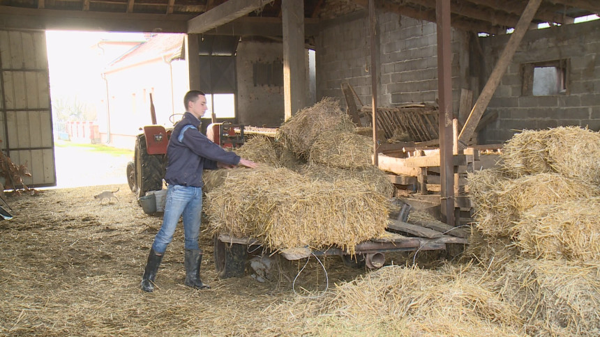 Mladi ratar: Sladak semberski hljeb sa devet kora