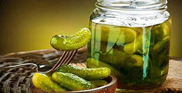 U Nemačkoj so za puteve zamenjuju vodom iz kiselih krastavaca!