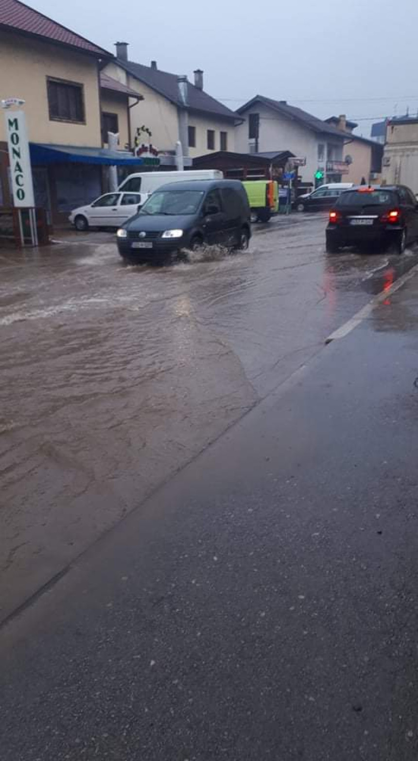 Рогатица под водом (ФОТО ВИДЕО)