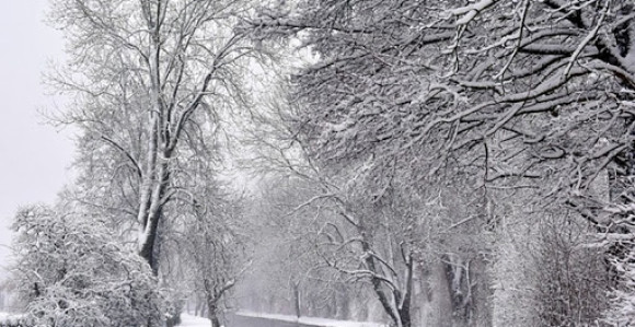 I danas hladno, temperatura ispod nule