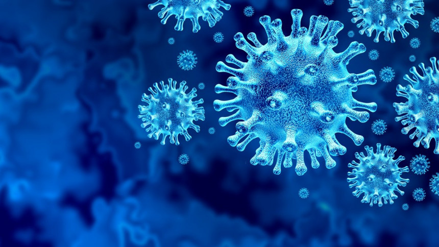 U FBiH još 542 osobe pozitivne na virus korona