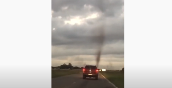 Najezda komaraca formirala "tornado" (VIDEO)