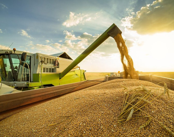 Семберија, највећа житница у БиХ, све сиромашнија!