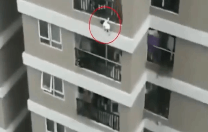 Kurir spasio dvogodišnju devojčicu koja je padala sa 12. sprata! (VIDEO)