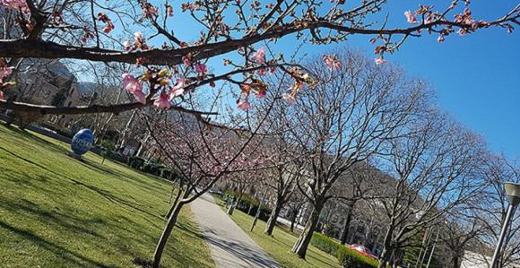 Danas promjenljivo i toplo vrijeme, temperatura do 21