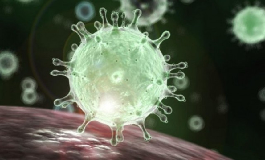 Вирус корона однио 31 живот, још 208 лица заражено