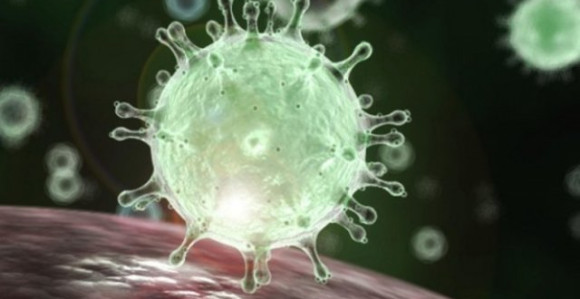 Virus korona odnio 31 život, još 208 lica zaraženo
