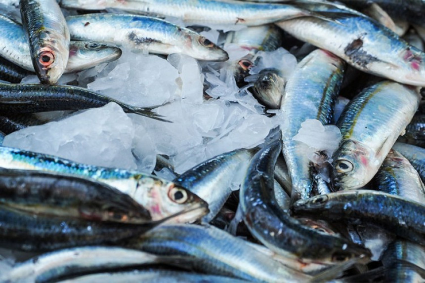 Ispunjeni uslovi, riba iz Banjaluke ne ide u Rusiju