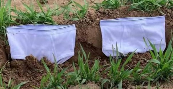 Švajcarci zakopavaju gaće u zemlju da utvrde kvalitet zemljišta!