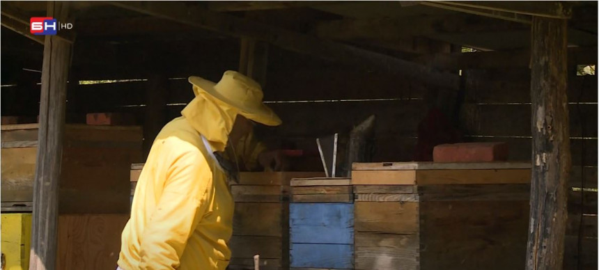 Udruženje pčelara traži dodatnu pomoć od države