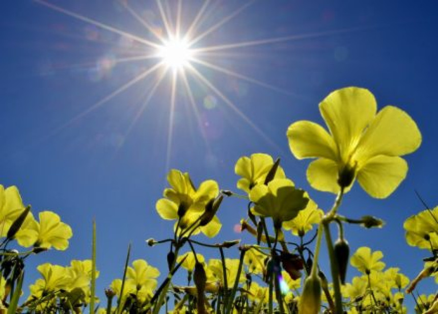 Sunčano i toplo, rast temperature do 21 stepen