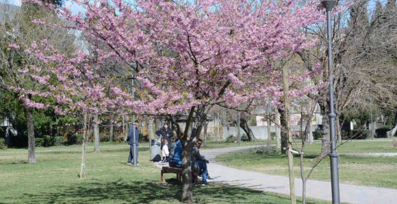 Sunčano i toplije, temperatura u porastu