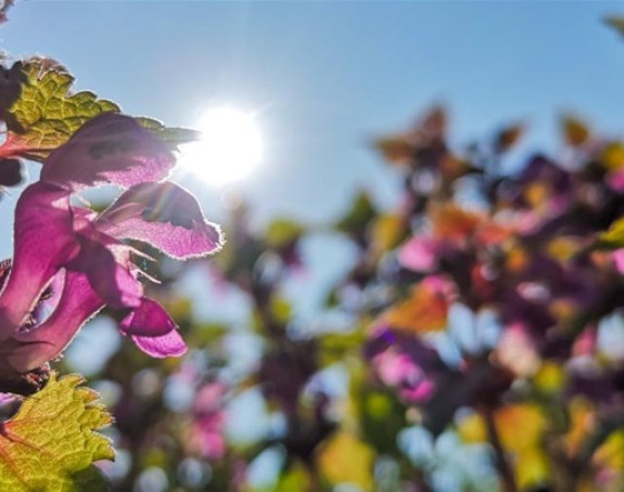 Danas sunčano i toplo, temperatura do 23 stepena