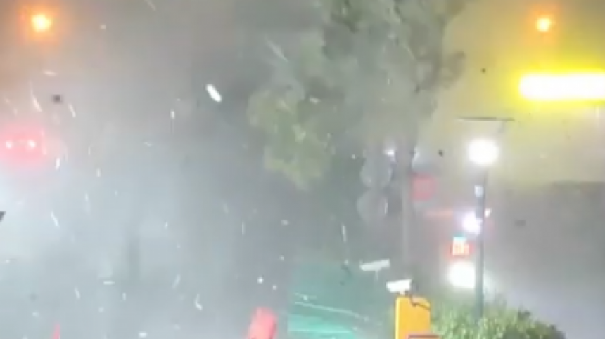Oluja čupala stabla, rušila stubove i fasade (VIDEO)