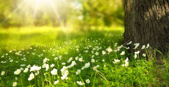 Danas umjereno oblačno i toplo sa temperaturom do 28