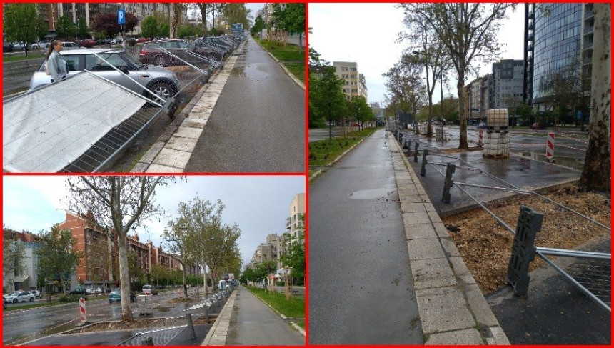 Oluja praćena kišom i jakim vjetrom pogodila Novi Sad