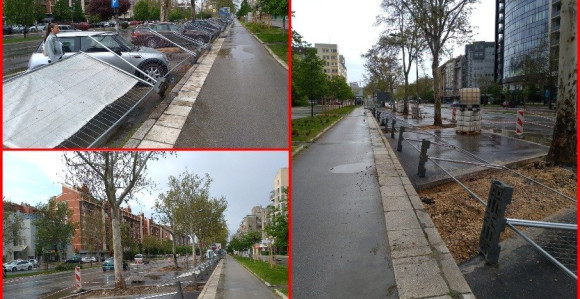 Oluja praćena kišom i jakim vjetrom pogodila Novi Sad