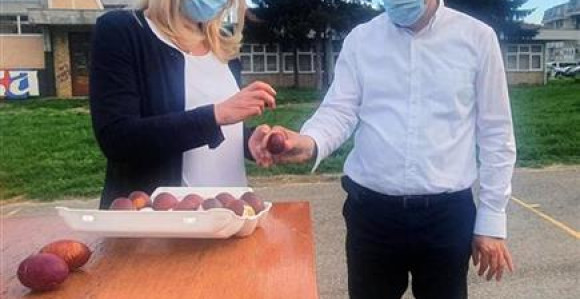 СНСД организовао туцијаду, наградни фонд 10.000 КМ