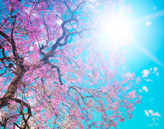 Danas sunčano uz umjerenu oblačnost u BiH