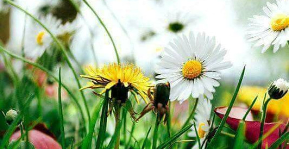 Pretežno sunce tokom dana, ponegdje i kiša