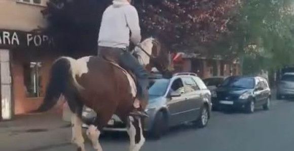 BEOGRAD: Na konju trknuo do marketa i uzeo namirnice