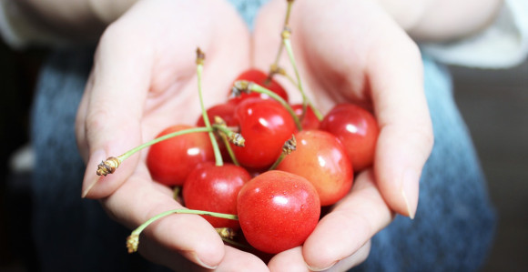 Beograd: U piljari trešnje skuplje od tartufa