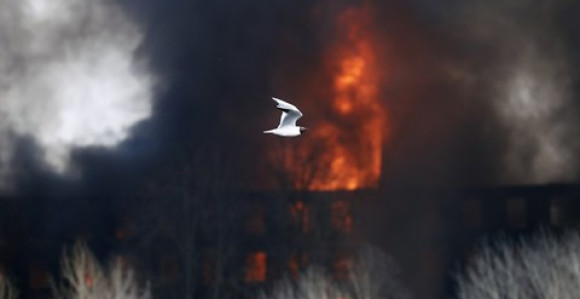 Zapalile skoro 200 tona slame, zbog videa za TikTok