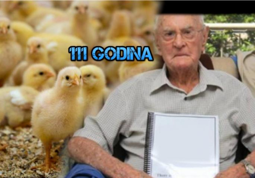 Tajna dugovečnosti u pilećem mozgu!?