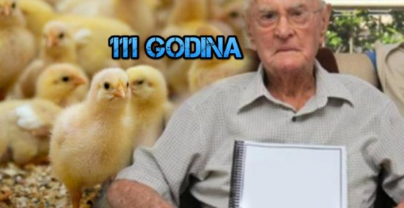 Tajna dugovečnosti u pilećem mozgu!?