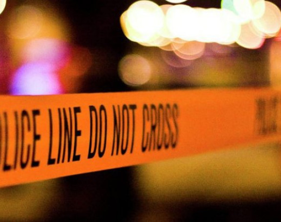 Pucnjava na koncertu, ubijena devojčica