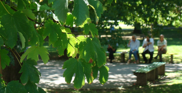 Danas promjenljivo i svježije nego prethodnih dana