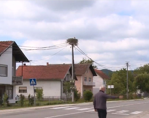 У центру Оштре Луке на стубу роде свиле гнијездо