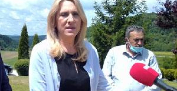 Cvijanović: Očekuje podršku Vučića za stavove Srpske