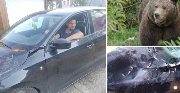 Medvjed na putu u Hrvatskoj napadao automobile