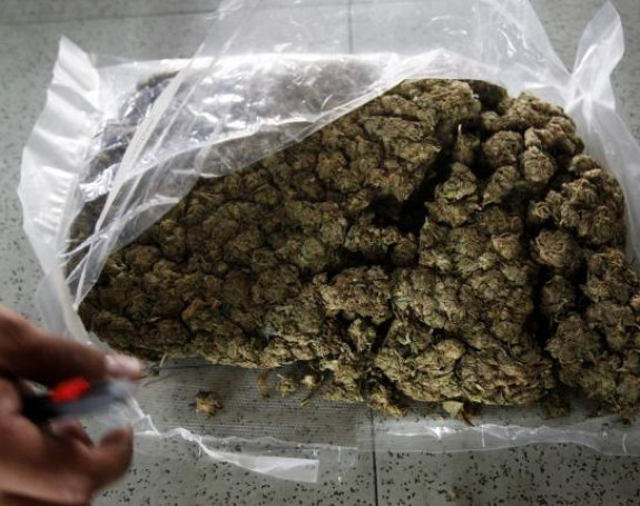 Kod Paraćinca pronađeno 25 kg marihuane