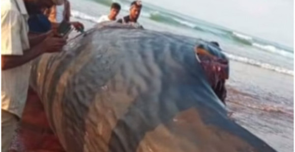 Siromašni ribari preko noći postali milioneri!