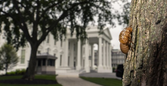 Bube napravile problem: Odložen čarter let novinara