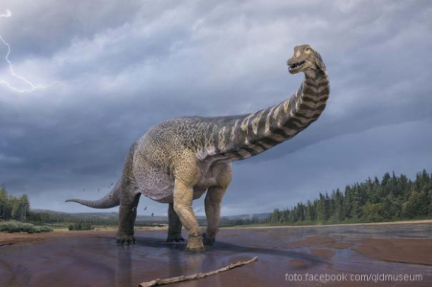 У Аустралији откривен диносаурус велики као кошаркашки терен!