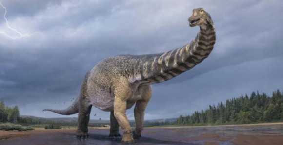U Australiji otkriven dinosaurus veliki kao košarkaški teren!
