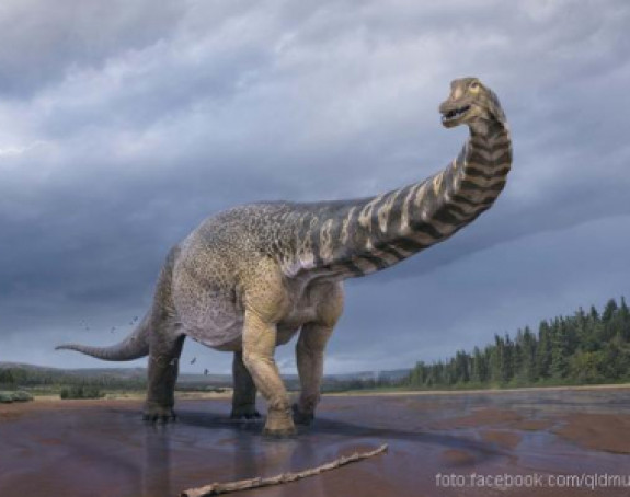 U Australiji otkriven dinosaurus veliki kao košarkaški teren!