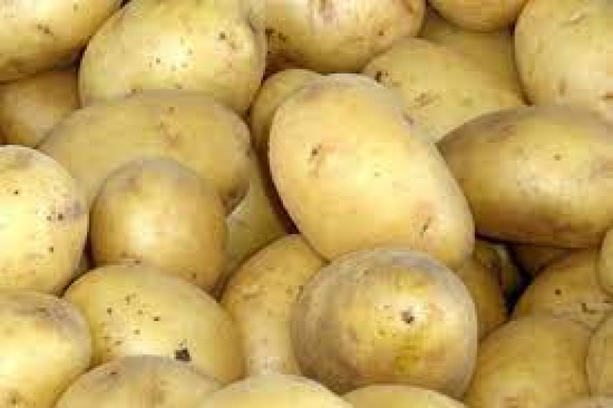Inspekcija Srpske zabranila uvoz 22 tone krompira