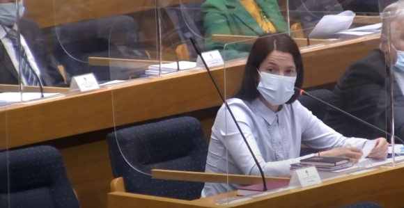 V.d. direktore ste izmislili, donose glasove za fotelju!