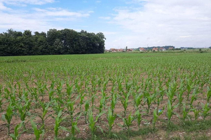 Značajna podrška Evropske unije farmerima u BiH