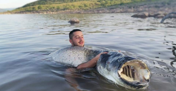 "Vukao me 1.500 metara, borili smo se 90 minuta"